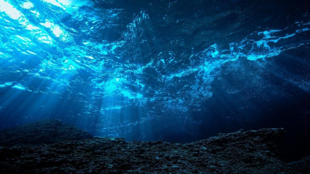 Istraživanje dubina oceana: Otkrivanje nepoznatih ekosustava