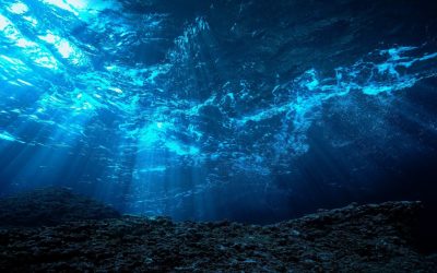 Istraživanje dubina oceana: Otkrivanje nepoznatih ekosustava