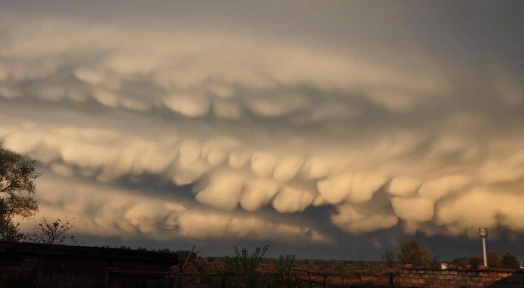 Najčudnije pojave u prirodi koje zaista postoje