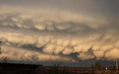 Najčudnije pojave u prirodi koje zaista postoje